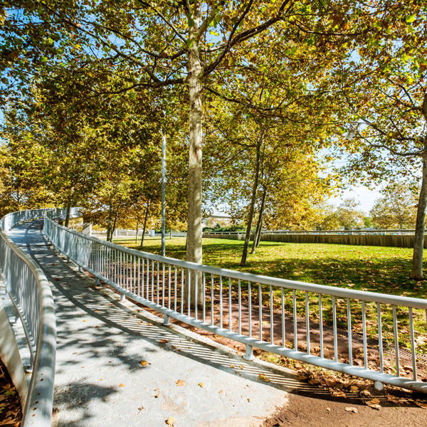 An outdoor wheelchair ramp with railing in a park setting